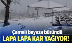 Çameli beyaza büründü