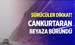 Cankurtaran beyaza büründü