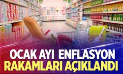 Ocak ayı enflasyon rakamları açıklandı
