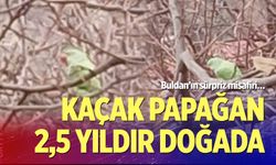 Buldan’ın sürpriz misafiri…