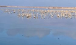 Her damlanın Eber Gölü'ne ulaşması için topyekun mücadele