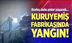 Kuruyemiş fabrikasında korkutan yangın