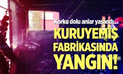 Kuruyemiş fabrikasında korkutan yangın