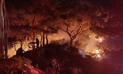 Ormanlık alanda yangın! 2 dönüm alan zarar gördü