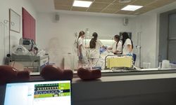 PAÜ, Uluslararası standartları Türkiye’ye taşıyor