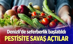Pestisite savaş açtılar!