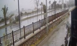 Kontrolden çıkan otomobil refüjdeki ağaca çarpıp takla attı