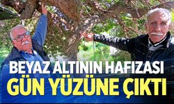 Beyaz altının hafızası gün yüzüne çıktı