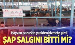 Denizli’de hayvan pazarları yeniden hizmete girdi