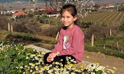 Bademler çiçek açtı papatyalar tarlaları süsledi