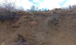 Buldan'da sır perdesi aralandı