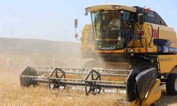 Denizli’de çiftçiye 8 milyon TL destek! Ödemeler yapılıyor…