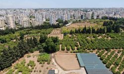 Türkiye son 20 yılda, Antalya’dan büyük tarım alanını kaybetti