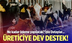 Denizli’de üreticiye dev destek!