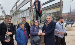 Çal’da zeytin fidanları üreticiyle buluştu