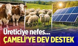 Çamelili üreticiye dev destek