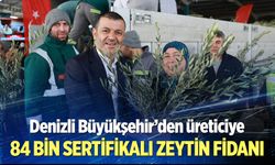 Büyükşehir’den üreticiye 84 bin sertifikalı zeytin fidanı!