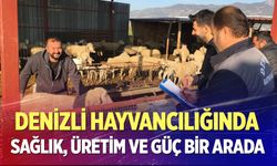 Denizli hayvancılığında sağlık, üretim ve güç bir arada