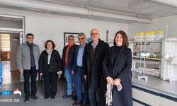 Kekiğin başkenti Denizli'de nikel mesaisi