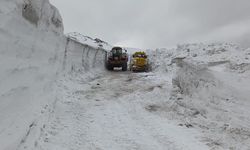 Türkiye-İran sınır hattında karla mücadele çalışması