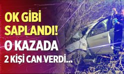 Aydın'da feci kaza! Otomobil ağaçlara ok gibi saplandı: 2 kişi can verdi...