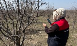 Baklan’da ekipler sahaya indi, doğa mercek altında