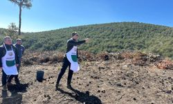 Ahmet Köle, Banaz’da ormancılık faaliyetlerini yerinde inceledi