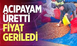 Acıpayam üretti, fiyat geriledi