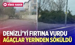Fırtına ağaçları yerinden söktü