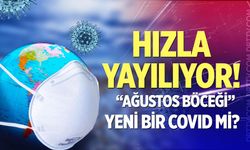 Amerika ve Avrupa’da yeni ve sinsi bir kovid: "Ağustos böceği"