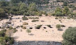 Amyzon, gün yüzüne çıkmayı bekliyor