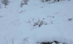 Mart sonunda Karıncalı Dağ’da kar sürprizi