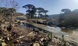 Aydın’ın içme suyunu karşılayacak Sarıçay’da kirlilik alarmı