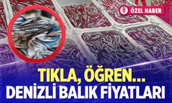 Denizli Balık Fiyatları… Hamsi’nin kilosu kaç TL? Sardalya kaç lira? İşte merak edilenler