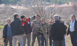 Tarımda verimlilik için sahadalar