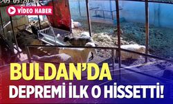 Depremi ilk o hissetti!