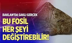 Baklan’da milyonlarca yıllık deniz yıldızı fosili bulundu