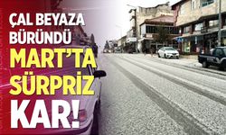 Mart’ta sürpriz kar! Çal beyaza büründü