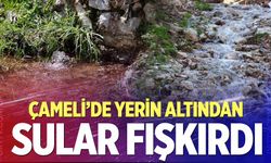 Çameli'de yerin altından sular fışkırdı