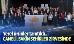 Çameli, Sakin Şehirler zirvesinde