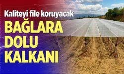 Bağlara dolu kalkanı