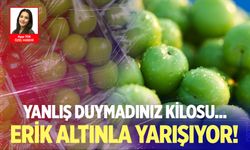 Denizli’de erik fiyatları cep yakıyor