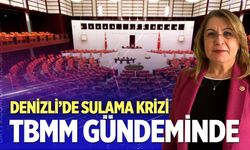 Gülizar Biçer Karaca’dan “Tarımsal Sulama Ve Hes Etkisi” İçin Meclis araştırması önergesi