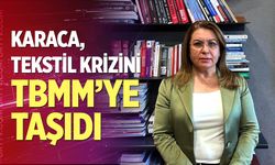 Karaca, Tekstil Krizini TBMM’ye Taşıdı