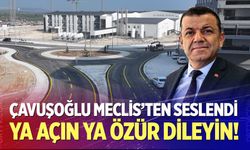 Çavuşoğlu Meclis'ten seslendi