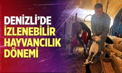 Denizli’de izlenebilir hayvancılık dönemi