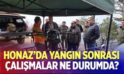 Honaz Dağı’nda Yangın Sonrası Çalışmalar Ne Durumda?