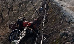 Sepetli motosiklet üzüm bağına uçtu: 1 ölü