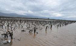 Salihli yağış felaketi yaşadı