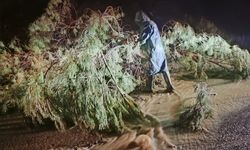 Manisa’da aşırı yağışlar sebebiyle vatandaşlara kritik uyarılar